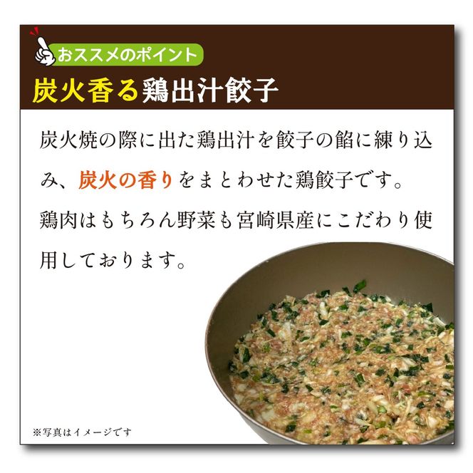 【テレビで紹介！元祖ざる焼き小林養鶏】濃厚 水炊き セット 3~4人前 計1.65kg（鶏肉 もも肉 鶏もも 水炊き 鶏白湯 つくね 餃子 ギョウザ 鍋 鍋セット）