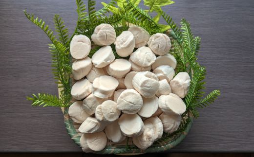 30-123 オホーツク産ほたて貝柱特大サイズ1kg