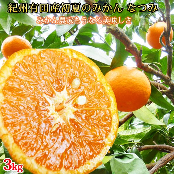 初夏のみかん なつみ3kg