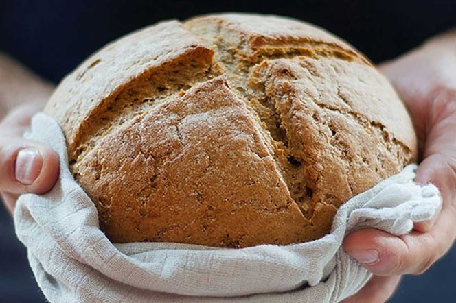 北海道産 スペルト小麦全粒粉 ディンケルスター 10kg MROBI004