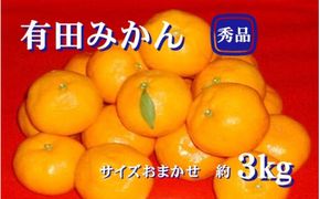 紀州 有田 みかん 秀品 3kg（L・M・Sサイズおまかせ） ※2026年11月下旬〜2027年1月中旬頃発送予定  ※北海道・沖縄・離島への配送不可 【sml004-r-3A】