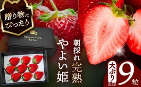 【先行予約】 ＼毎年12月より順次発送／ やよい姫 9粒 いちご フルーツ 果物 愛西市 / くぼ苺農園 【配達不可：北海道・沖縄・離島】[AECJ012]