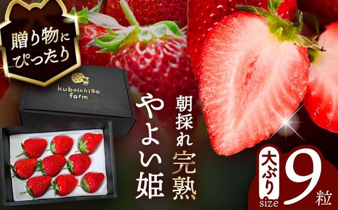 ymszys\z _N12菇^ 悢P 9  t[c ʕ s / 䕔_ yzBsFkCEEz[AECJ012]