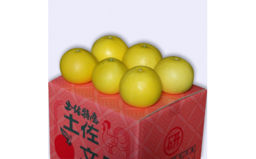 【先行予約】三愛果樹園の土佐文旦　贈答用　約5kg / 土佐文旦 みかん 柑橘 ぶんたん ブンタン 果物 フルーツ 〈2027年2月上旬から順次発送〉【三愛果樹園】