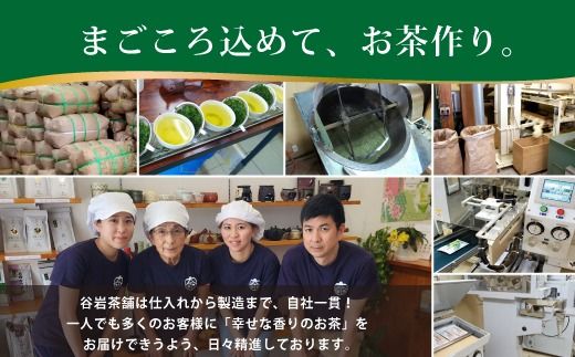 茶 特撰 みやざき茶 5本 セット [谷岩茶舗 宮崎県 日向市 452061603] 日本茶 詰め合わせ 飲み比べ 煎茶 深蒸し 釜炒り 白折 ほうじ お茶 香り 和菓子 茶葉