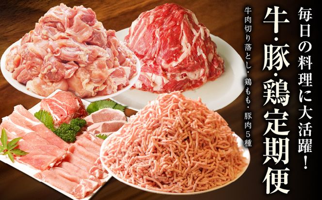 099Z244 牛・豚・鶏 定期便 7種 総量11.4kg（牛肉切り落とし／カット済み 鶏もも／豚肉5種 食べ比べ）全6回 丸善味わい加工【毎月発送コース】