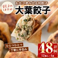 大葉餃子(12個入×4袋・計48個) 餃子 生餃子 ギョウザ ぎょうざ ギョーザ セット 詰め合わせ おかず お惣菜 冷凍 和風 水餃子 大葉 手作り 【餃子のはま田】akn096-02