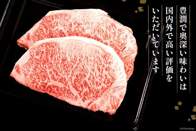 【最上等級使用！】 牛肉 宮崎牛 ロース ステーキ 250g × 3枚 計750g [ミヤチク 宮崎県 日向市 452061580] 小分け 個包装 和牛 ブランド牛 黒毛和牛 冷凍 4等級 5等級