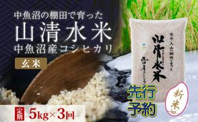 【令和8年産 先行予約】【定期便／全3回】玄米5kg 新潟県魚沼産コシヒカリ「山清水米」