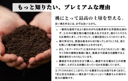 ◆2025年夏発送◆桃源のめぐみ ～産直・桃・約2kg～ ※離島への配送不可 ※2025年7月上旬～9月中旬頃に順次発送予定