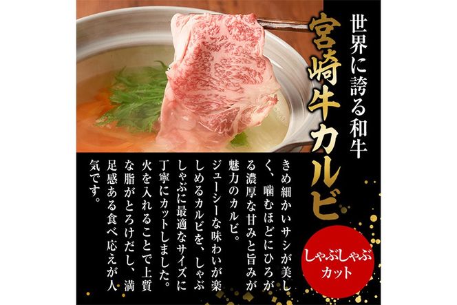 宮崎牛 カルビカット しゃぶしゃぶ (計500g・250g×2) しゃぶしゃぶ お肉 牛肉 黒毛和牛 宮崎牛 ブランド和牛 冷凍 国産 宮崎県産 カルビ バラ 【YM-34】【YAMATO株式会社】