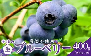 【農薬不使用】 手摘み生ブルーベリー 400g 142069_JJ001