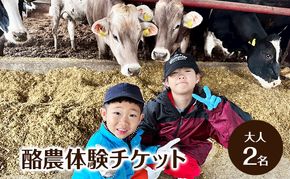 酪農体験チケット 大人2名 【 体験チケット 酪農 北海道 幕別町 牛 搾乳 牧場 自然 】