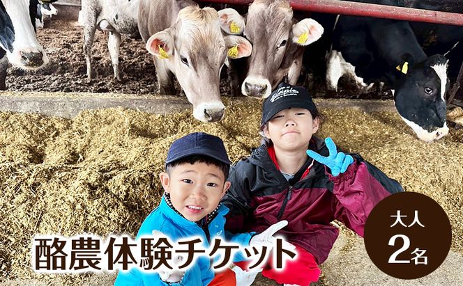 酪農体験チケット 大人2名 【 体験チケット 酪農 北海道 幕別町 牛 搾乳 牧場 自然 】