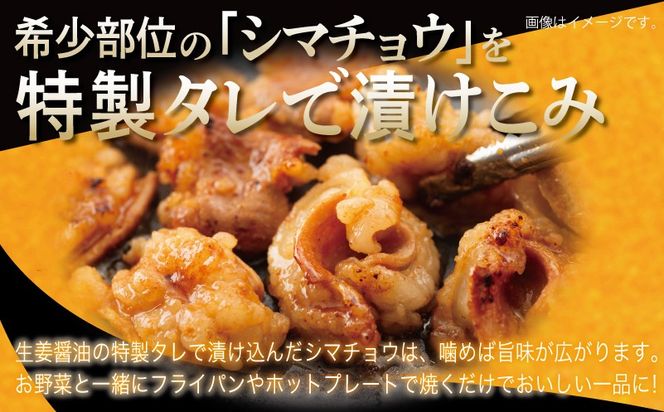 G3449 牛シマチョウ 焼肉用 タレ漬け 500g【味付け 小分け 250g×2P 焼くだけ 簡単調理 BBQ 牛肉 ホルモン お試し】