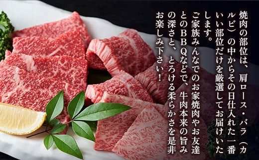 訳あり！【A4～A5】博多和牛焼肉切り落とし(肩ロース・バラ）　500ｇ DX039