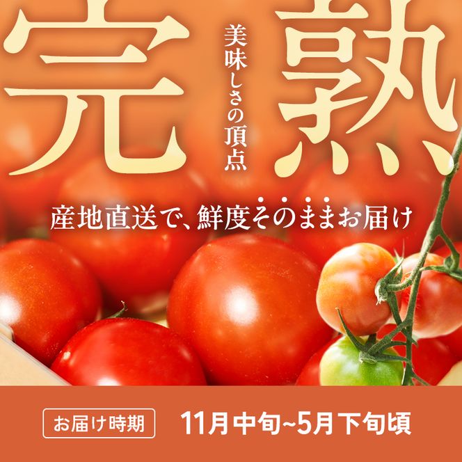 【6ヶ月連続 お届け】 よしよし畑のあま～い トマト ( 中玉トマト ) 800g ～ 1kg 計約3kg 程度 新鮮 産地直送  とまと 頒布会 定期便 おいしい おすすめ ギフト お取り寄せ