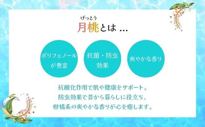 幸－美彩－さちちゅらいろ 島の日焼け止め（30g）OA-03