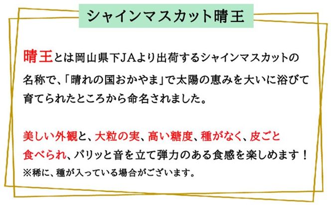 ぶどう 2026年 先行予約 ご家庭用 シャイン マスカット 晴王 3～6房 約1.5kg ブドウ 葡萄 岡山県産 国産 フルーツ 果物