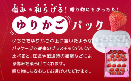 【先行予約】数量限定 いちごさん さがほのか ★贈り物にも最適★《2026年1月頃より出荷予定》 いちご イチゴ フルーツ 佐賀県 上峰町