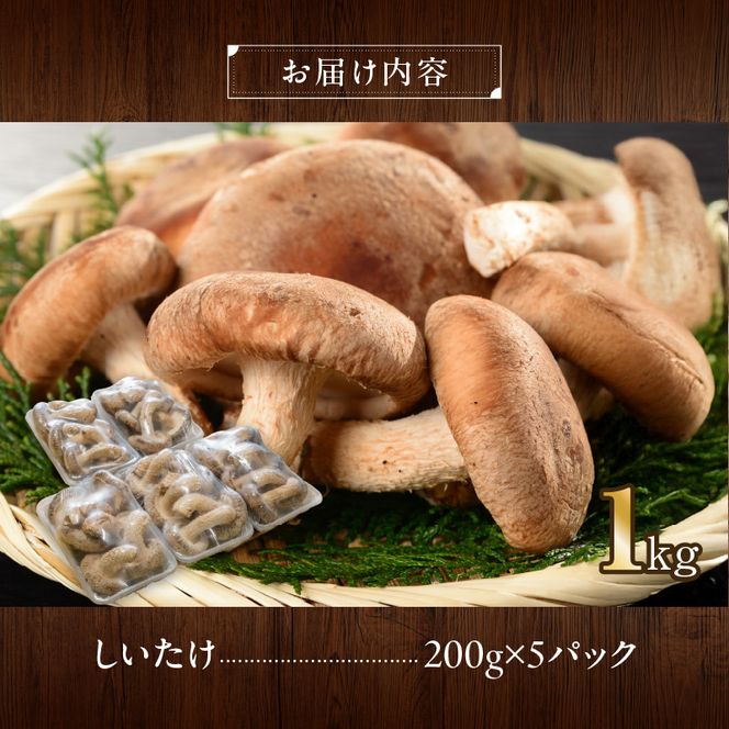 駒来ファームの 極上・肉厚 生しいたけ［131L01］極上 肉厚 生しいたけ