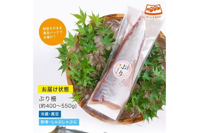 y{茧쒬zykCEzszԂ̂hg(400`550g)  { CN u  Ԃ hg Ԃ ① {茧 쒬yUZ-03zy֐Yz