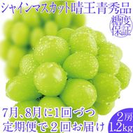 2026年先行予約【2回定期便】シャインマスカット晴王2房 約1.2kg 7月8月に出荷 人気 岡山県産 種無し 皮ごと食べる みずみずしい フレッシュ 晴れの国 おかやま 果物大国 ハレノフルーツ