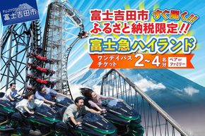 富士急ハイランド チケット フリーパス チケット ペアチケット ファミリーチケット 招待券 優待券 山梨 遊園地 富士吉田