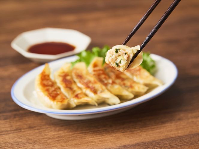 【味仙八事店】餃子90個セット(冷凍） ［061A13］ 餃子 90個セット 1620g 味仙 味仙八事店 名古屋名物 冷凍 ご家庭 本格的 お取り寄せ おかず 夕食 ビール おつまみ ご飯のお供 中華 ご当地グルメ 簡単調理 時短 焼き餃子 ジューシー もちもち 家族向け 愛知県 小牧市 送料無料