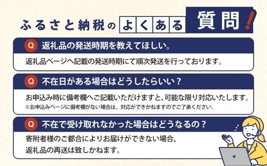 いちご あまおう 福岡産 約1000g （ 1パック約250g × 4パック ） 【 2027年発送 】 期間限定 発送 先行予約 果物 フルーツ 果実 果汁 果肉 大粒 酸味 甘味 ご家庭用 デコレーション 食材 国産 冷蔵 【 2027年2月上旬~3月下旬迄発送予定 】