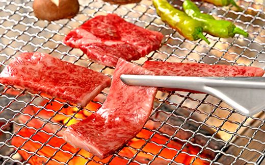 【4等級以上】近江牛 焼肉用肩ロース【 500g】【AB04W】