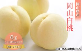 桃 2026年 先行予約 岡山 白桃 6玉 約1.4kg 等級：ロイヤル（1玉 240g以上） もも モモ 岡山県産 国産 フルーツ 果物 ギフト