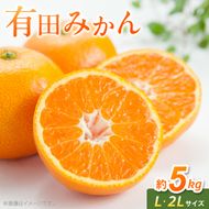 《2026年11月中旬～2027年1月中旬頃に順次発送予定》【2026年先行予約】有田みかん　L,2Lサイズ混合　約5kg_BF6070