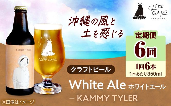 【全6回定期便】-CLIFF BEER- KAMMY TYLER  (ホワイトエール) 6本入り ビール クラフトビール 350ml 飲み比べ ギフト 沖縄市 / 株式会社クリフクラフト[BCDS015]