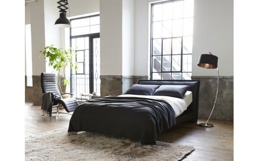 フランスベッド電動リクライニングBO-06（2モーター：背上げ・脚上げ）レッグタイプ　マットレス・手すり付き（ダブル）