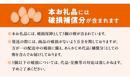 【12ヵ月 連続 定期便】王様の卵 ヨード入 40個 (35個+割れ保障5個 ) 計480個 平飼い 地鶏 有精卵 濃厚 卵 こだわり卵 たまご  頒布会 定期 [AU010us]