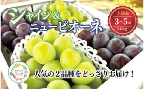 【2026年先行予約】シャインマスカット＆ニューピオーネ 3-5房/計2.0kg~ (岡山県産) ぶどう セット 食べ比べ 【KF-B070-03】