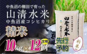 【令和8年産 先行予約】【定期便／全12回】精米10kg 新潟県魚沼産コシヒカリ「山清水米」