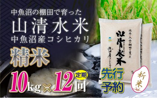 【令和8年産 先行予約】【定期便／全12回】精米10kg 新潟県魚沼産コシヒカリ「山清水米」