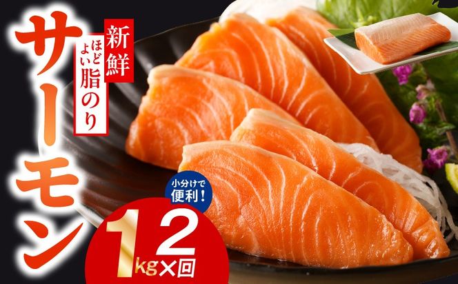 y{򍲖sz099Z345 T[  1kg×S2y|[V 󂠂 TCYs hg CN [ T_ Jpb`   VP Ⴏ lC  Ⓚ ƌvz
