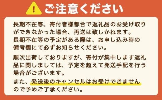 福岡産あまおう冬2パック ※2024年12月上旬から2025年1月下旬に順次発送予定　AX001