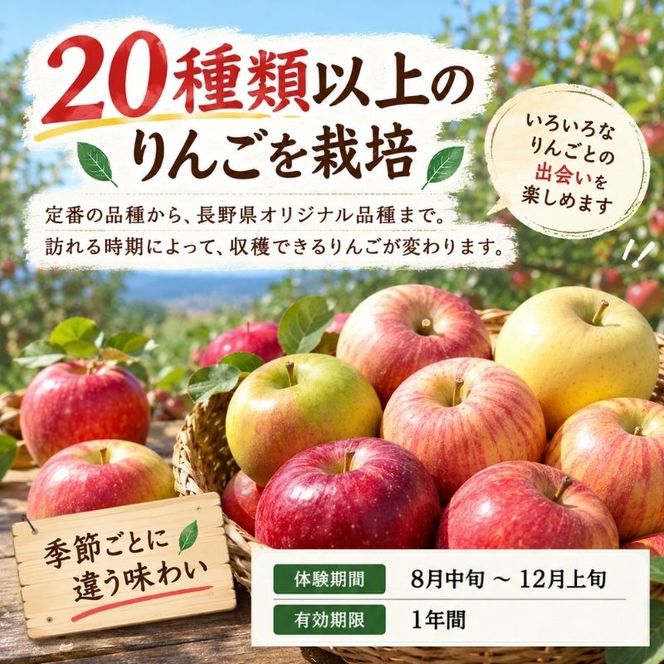 長野県下最大級 りんご狩り体験 りんご狩り発祥園 体験チケット 環境 優しい 安心 安全 こだわり 低農薬 有機肥料 循環型 定番 オリジナル 新品種　 