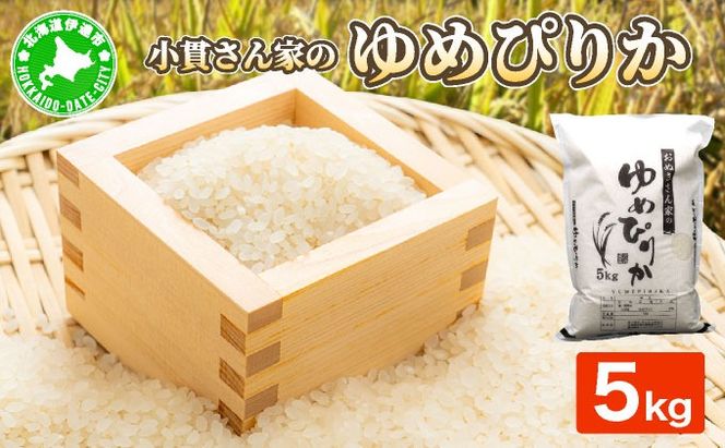 ykCɒBszR7NY JGAPF؁yʂƂ̂߂҂肩z5kg kCɒBY maru-002