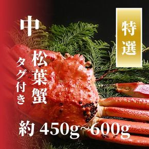 【特選】松葉ガニ 中サイズ 約450g～600g タグ付(茹で) 312011_EG003
