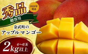 【2026年発送】金武町のアップルマンゴー◆贈答用◆2kg以上（4～6玉） アーウィン 果物 甘い 夏 濃厚 ギフト Mango ランキング 完熟 お気に入り 収穫 人気 甘味 フルーツ 沖縄県 先行予約 食品 デザート 産地直送 送料無料