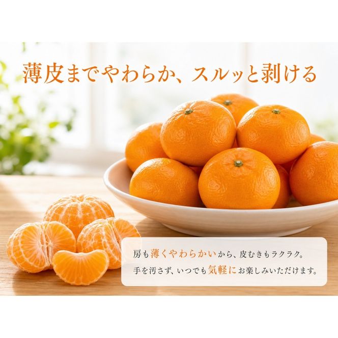 赤秀品 紀州和歌山ハウスみかん 2.5kg［2027年6月末頃～2027年7月中旬頃に順次発送］［UT87w］AN006