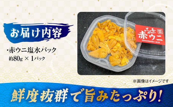 【先行予約】【数量/期間限定】三崎の赤ウニ（塩水パック） 約80g ※北海道・東北地方・沖縄・離島への配送不可（2026年8月上旬より順次発送） IKTJ017