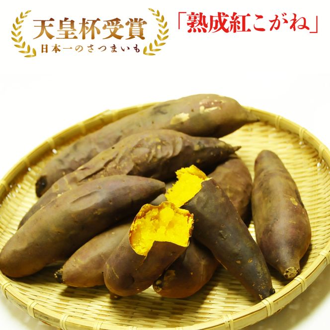 【訳あり】行方かんしょ「紅こがね」さつまいも約10kg（洗い・不揃い・C品）｜さつまいも 芋 わけあり 訳あり 焼芋 やきいも 紅こがね 茨城県 行方市 人気 送料無料(AE-109)