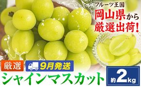 【9月発送】シャインマスカット 約2kg(3-5房)《2026年9月上旬-9月末頃出荷》岡山県 笠岡市 シャインマスカット 厳選 ぶどう ブドウ 葡萄 マスカット 果物 フルーツ ギフト---kasaoka_zsy_419_2000-9m---