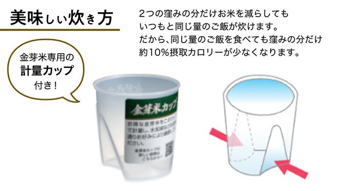 【 令和6年産・新米 11月下旬発送 】【 金芽米 】 つくばみらい市産 コシヒカリ 5kg × 2袋 ( 計 10kg )  金芽米 きんめまい 米 お米 無洗米 茨城県 カロリーオフ 低カロリー 東洋ライス 節水 時短 アウトドア キャンプ [EK03-NT]